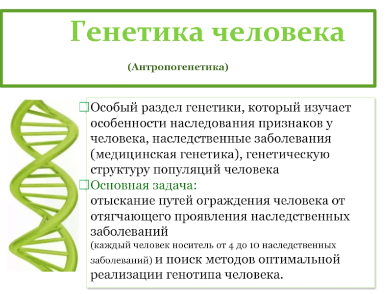 Популяционная генетика изучает