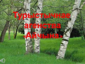 Турыстычнае агенства 