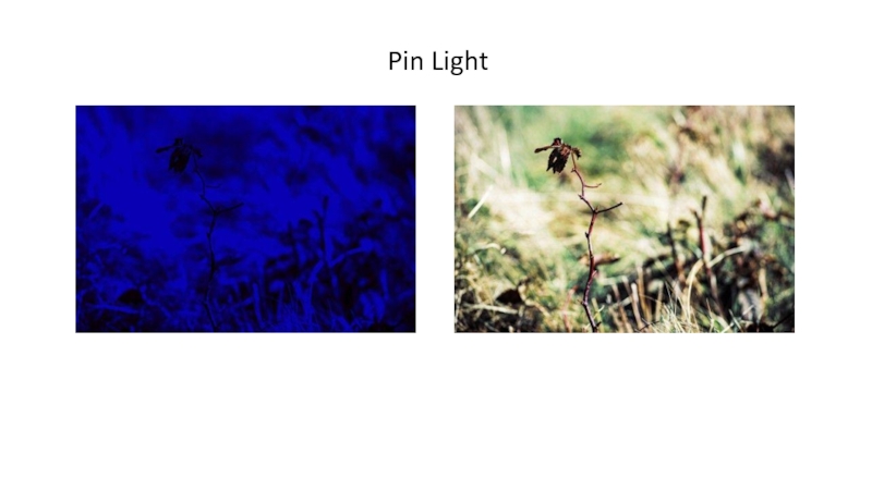 Pin Light  