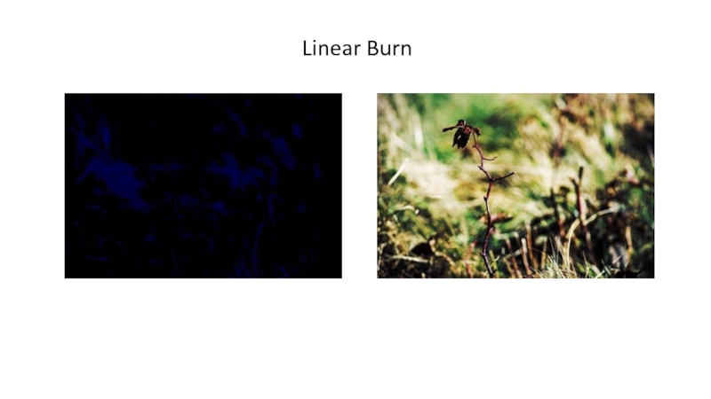 Linear Burn