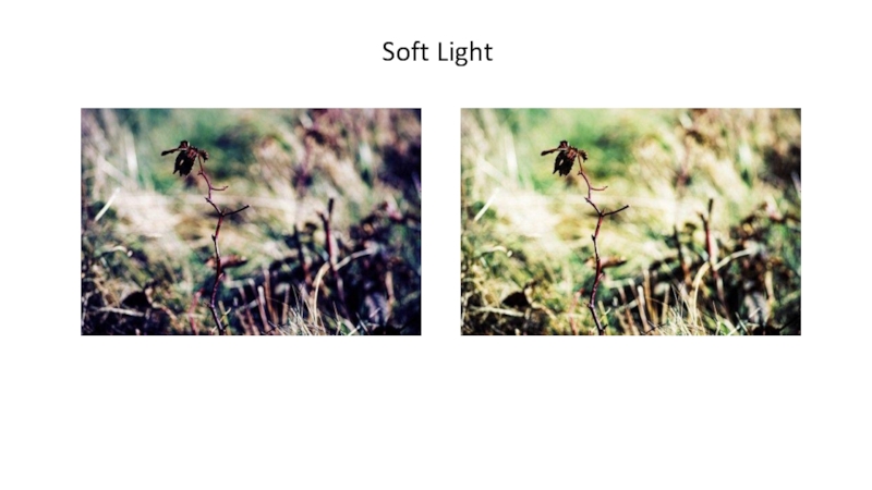 Soft Light  