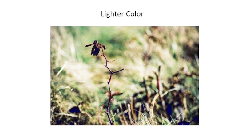 Lighter Color   