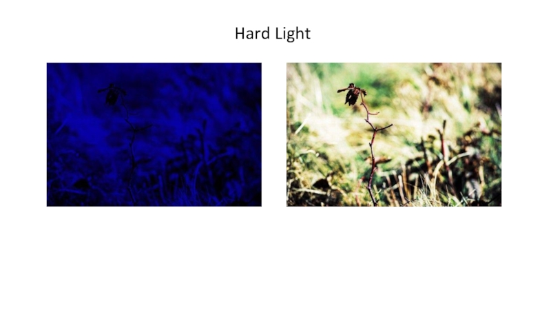 Hard Light  
