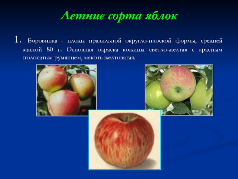 Летние сорта яблок 1. Боровинка - плоды правильной округло-плоской формы, средней массой