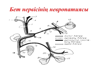 Бет нервісінің невропатиясы