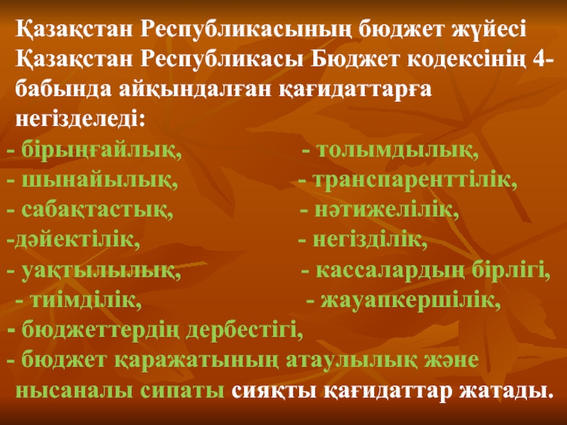 Қазақстан Республикасының бюджет жүйесі Қазақстан Республикасы Бюджет кодексінің 4-бабында айқындалған қағидаттарға