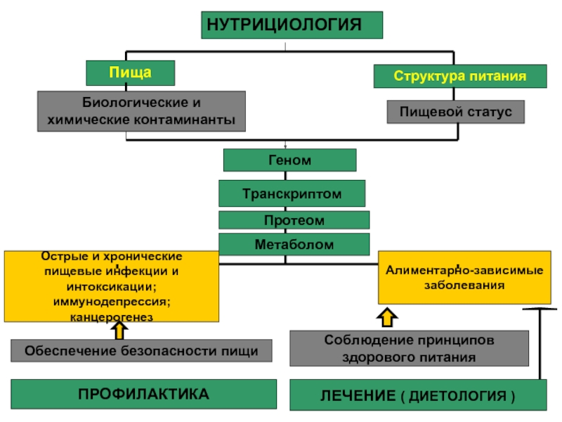 План изучения нутрициологии