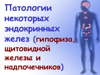 Патологии некоторых эндокринных желез (гипофиза, щитовидной железы и надпочечников)