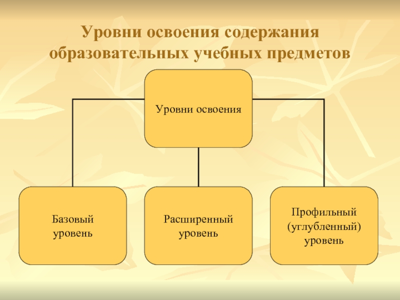 Уровень учебного предмета