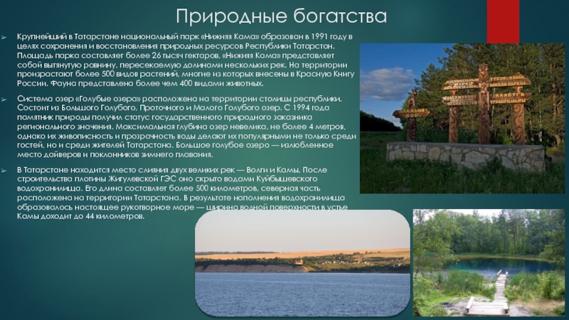 Природные богатстваКрупнейший в Татарстане национальный парк «Нижняя Кама» образован в 1991 году