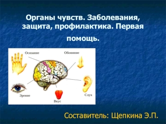 Органы чувств. Заболевания, защита, профилактика. Первая помощь