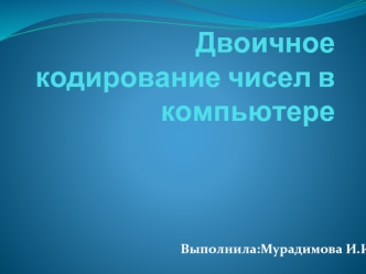 Двоичное кодирование чисел в компьютере