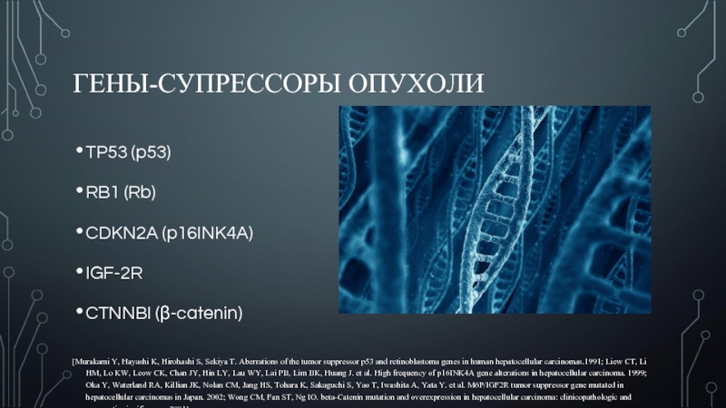 ГЕНЫ-СУПРЕССОРЫ ОПУХОЛИTP53 (p53)RB1 (Rb) CDKN2A (p16INK4A)IGF-2R CTNNBI (β-catenin) [Murakami Y, Hayashi