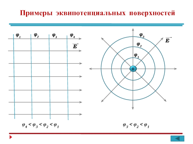 На рисунке представлена картина эквипотенциальных поверхностей