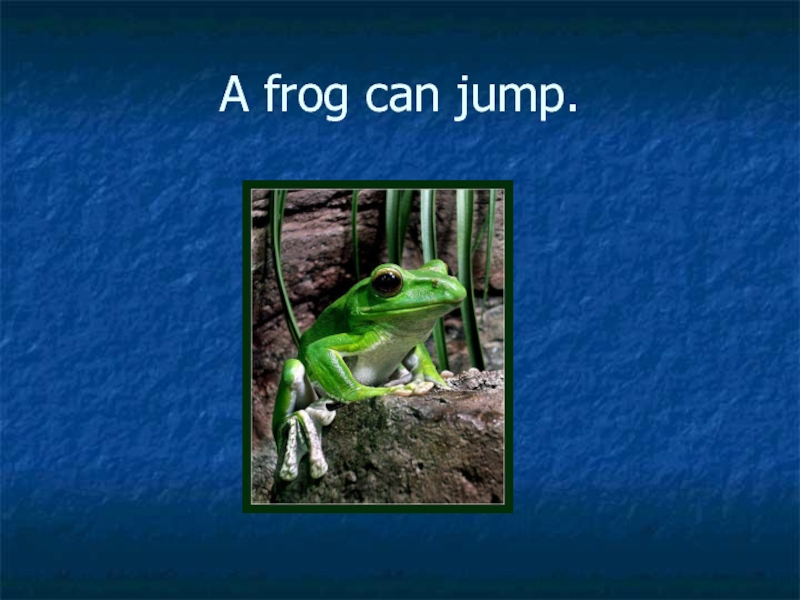 Песня i can jump a frog. A Frog can Jump. A Frog can Jump 2 класс. Can Frog Jump вопроса. Frogs can.