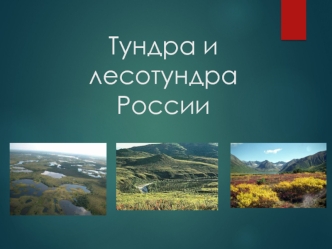 Тундра и лесотундра России