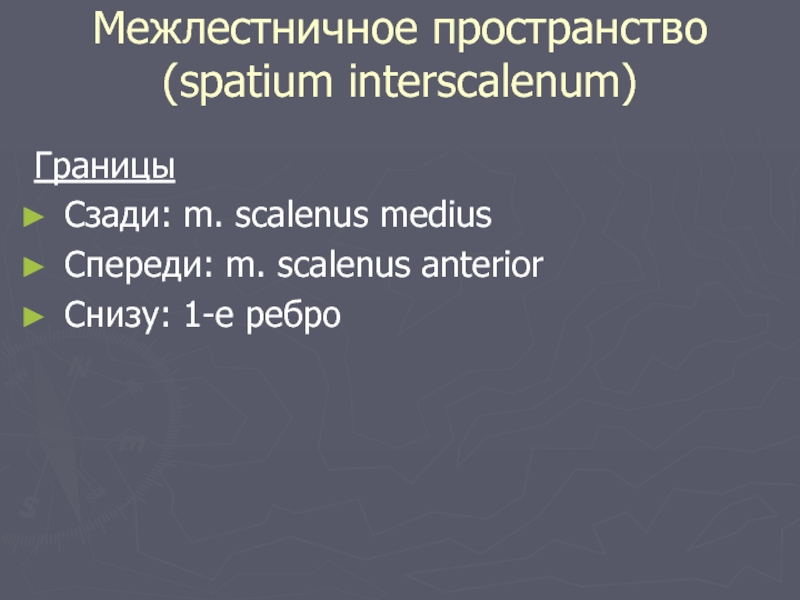 Межлестничное пространство  (spatium interscalenum) ГраницыСзади: m. scalenus medius Спереди: m. scalenus anterior Снизу: 1-е ребро