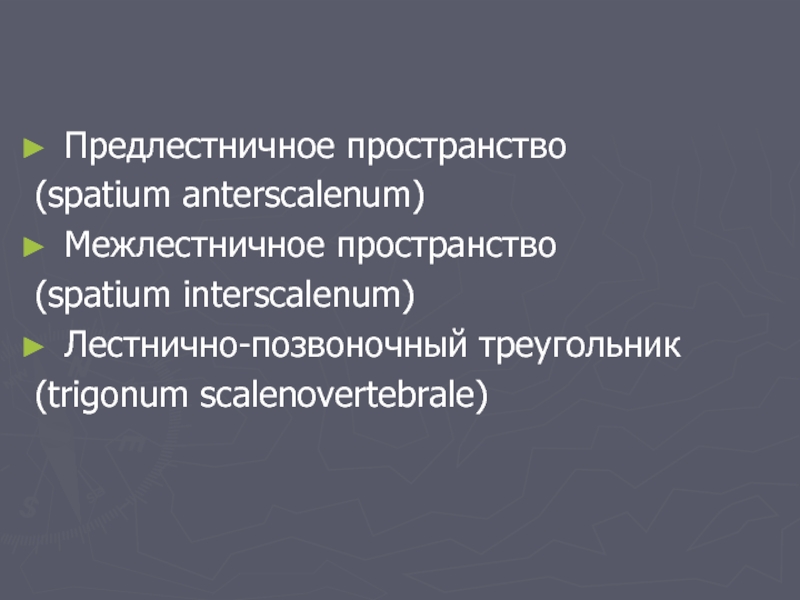 Предлестничное пространство (spatium anterscalenum)Межлестничное пространство (spatium interscalenum)Лестнично-позвоночный треугольник(trigonum scalenovertebrale)