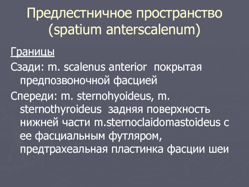 Предлестничное пространство  (spatium anterscalenum) ГраницыСзади: m. scalenus anterior покрытая предпозвоночной