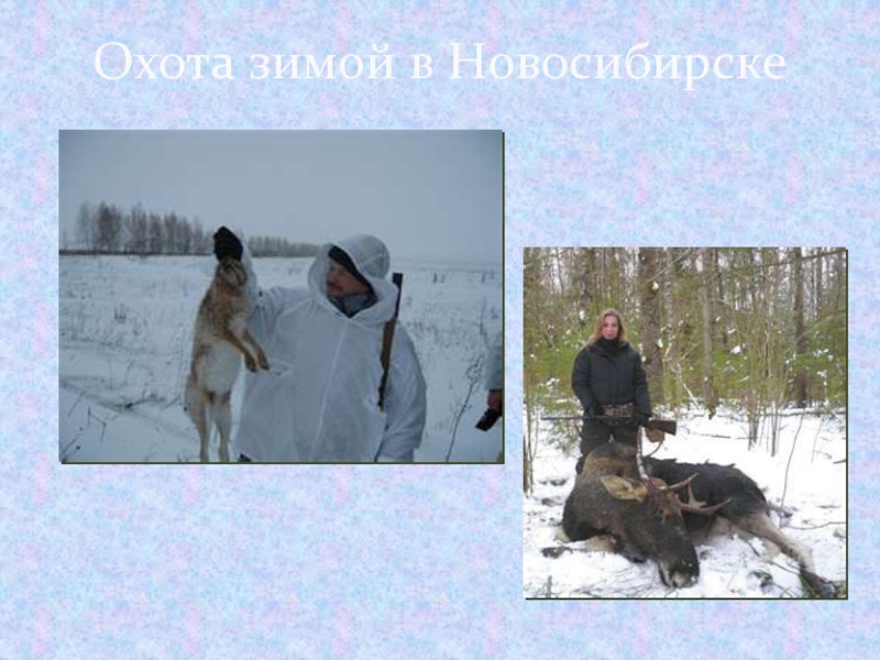 Охота зимой в Новосибирске