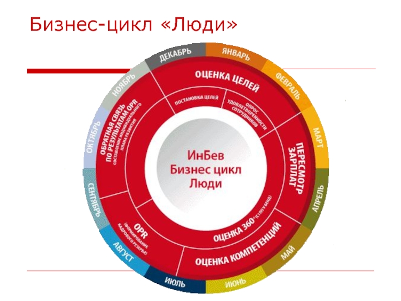 Бизнес цикл. Цикличность бизнеса. Цикличность бизнес-процессов. Этапы бизнес цикла.