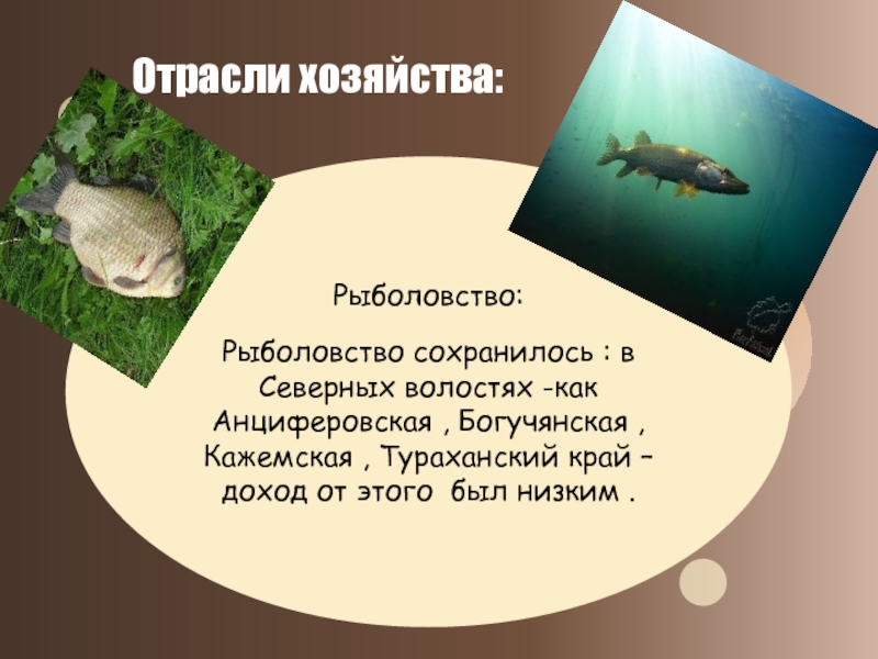 Рыболовство:Рыболовство сохранилось : в Северных волостях -как Анциферовская , Богучянская , Кажемская