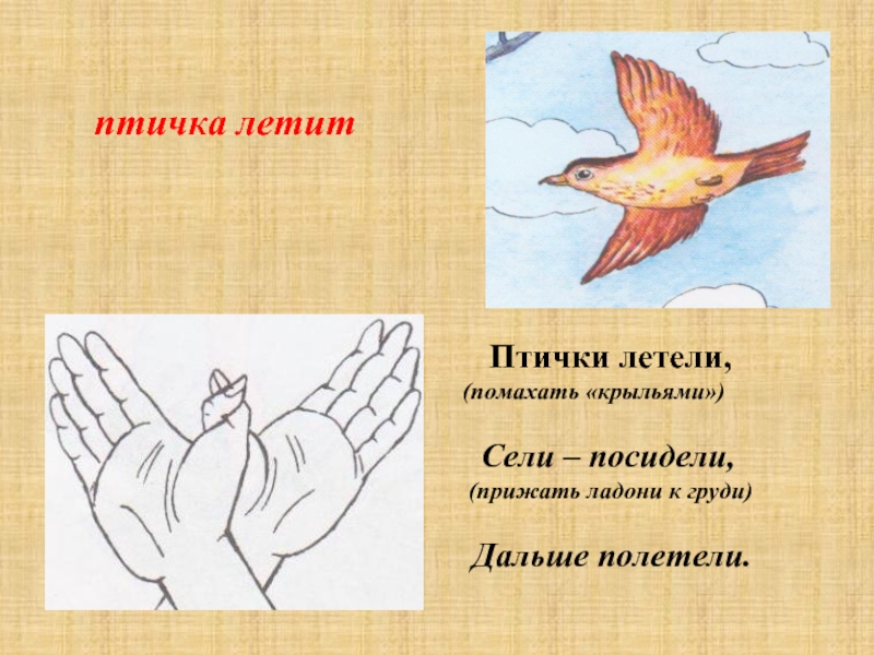 Птицы рук текст