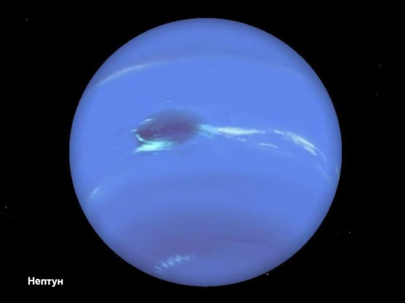 Нептун