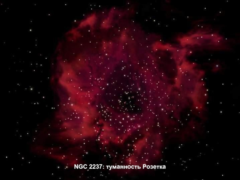 NGC 2237: туманность Розетка