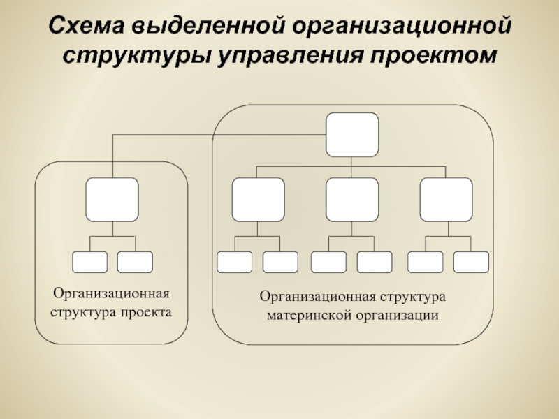 Какой тип структуры управления представлен на данной схеме