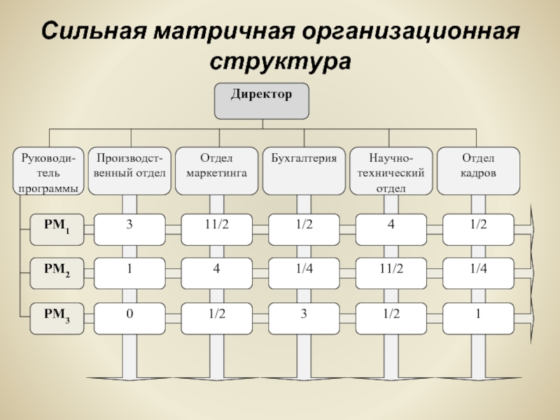 Матричная организационная структура это