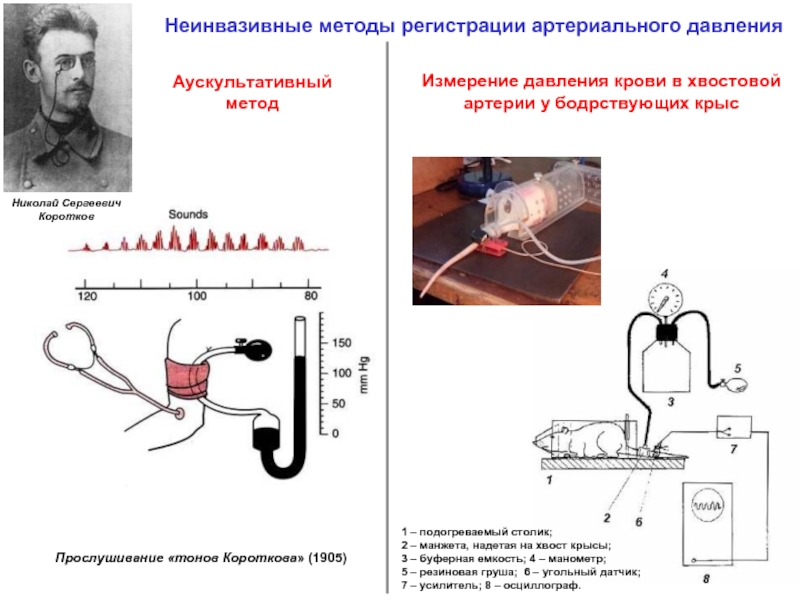 Метод регистрации. Методика измерения артериального давления крови. Методы измерения артериального давления крови (прямой и непрямой).. Способы измерения давления крови. Метод измерения давления крови.