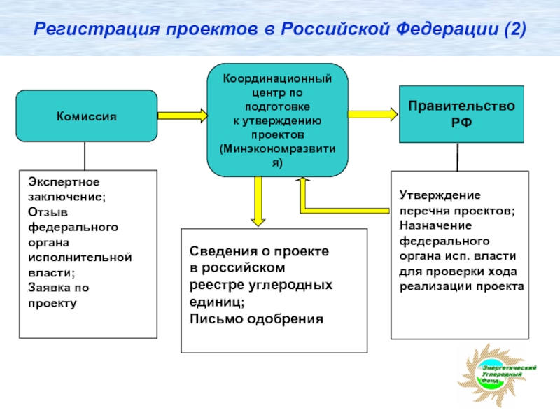 Регистрация проектов в Российской Федерации (2)  Экспертное заключение; Отзыв федерального органа