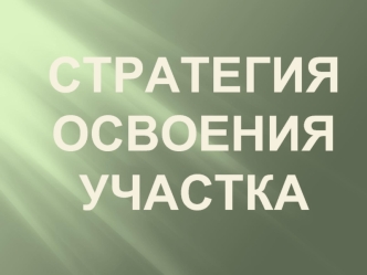 Стратегия освоения участка