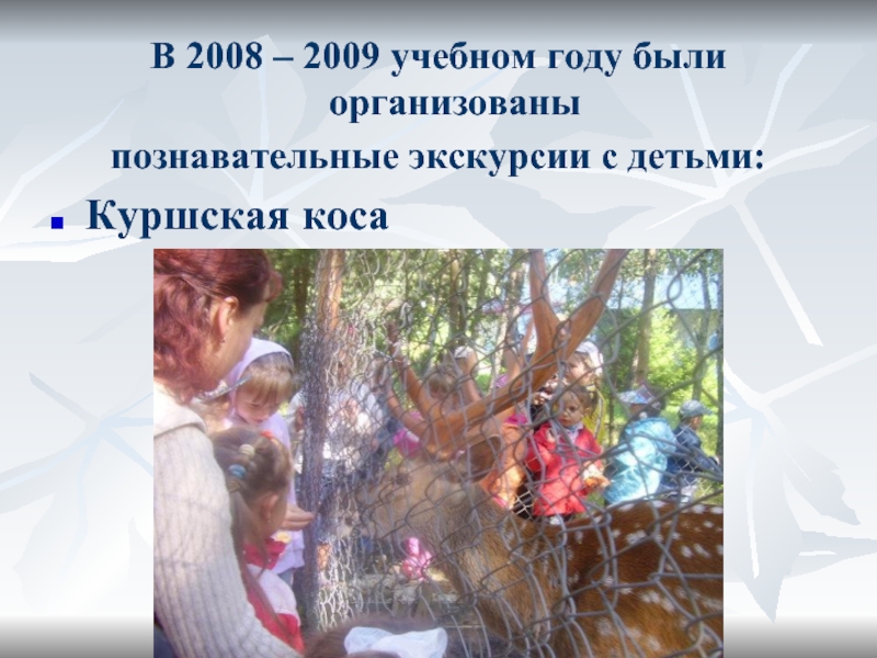 В 2008 – 2009 учебном году были организованы познавательные экскурсии с детьми:Куршская коса