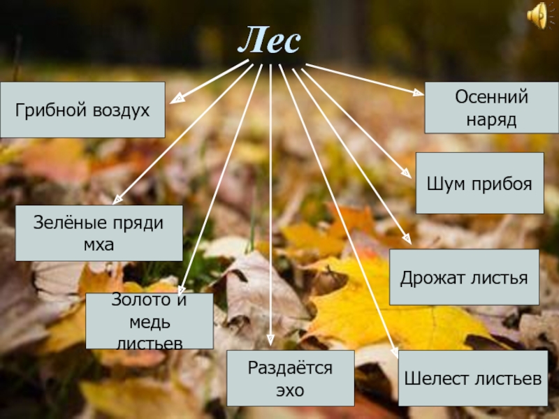 Основная мысль текста паустовского