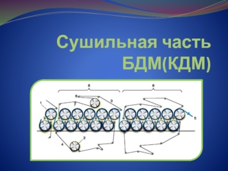 Сушильная часть БДМ (КДМ)