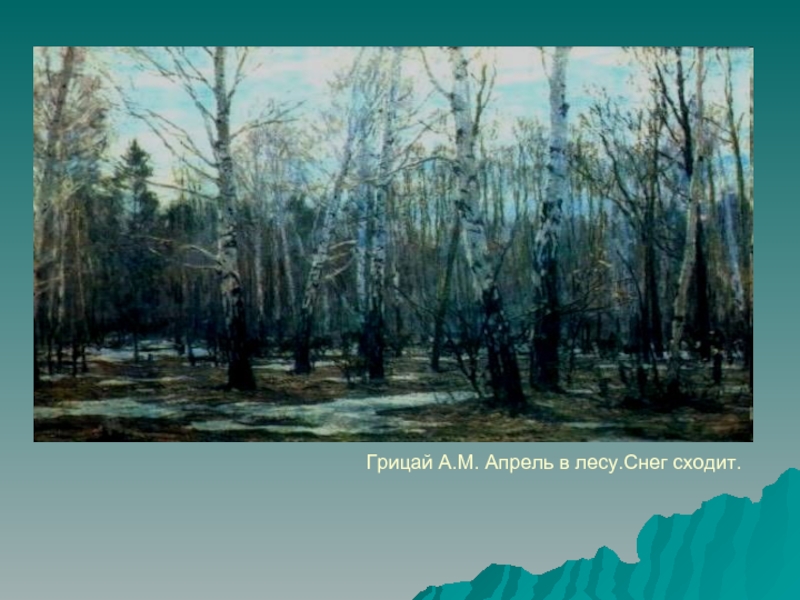 Многое услышишь в весеннем лесу. Грицай апрель в лесу. Грицай подснежники. Грицай а.м. «апрель в лесу. Снег сходит». А.М.Грицая “Подснежник”.