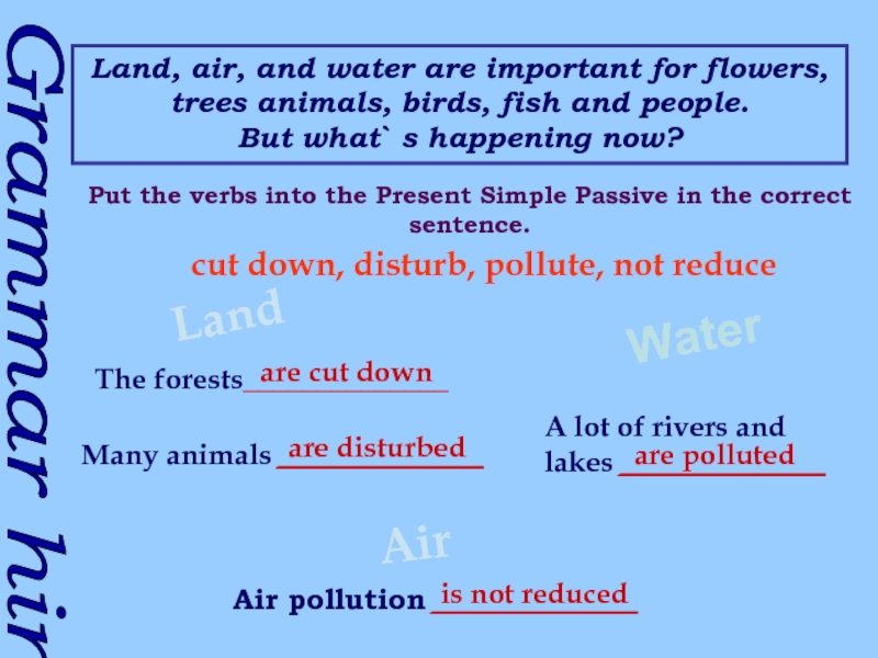 Grammar hintLand, air, and water are important for flowers, trees animals,