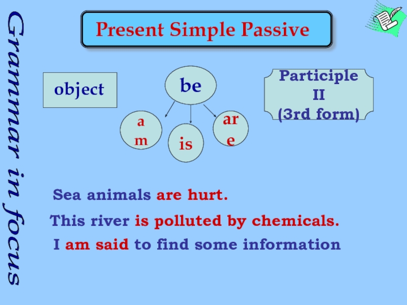 Grammar in focusamisarePresent Simple PassiveParticiple II(3rd form)Sea animals are hurt.This river