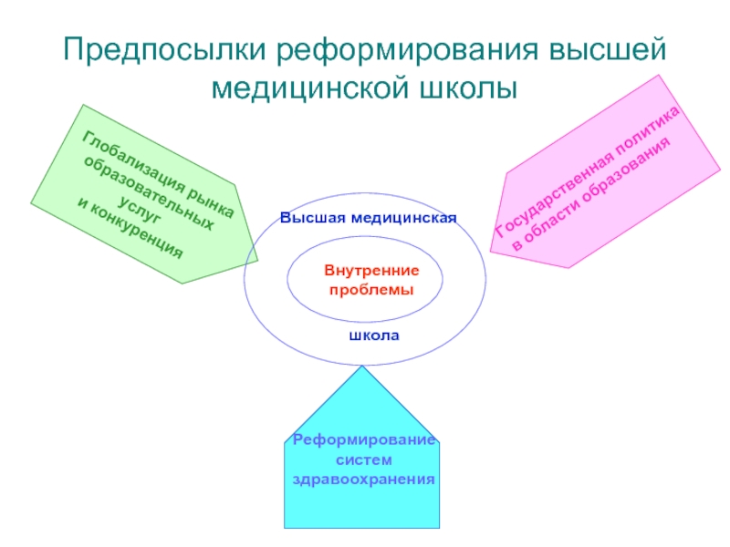 Реформы системы высшего образования