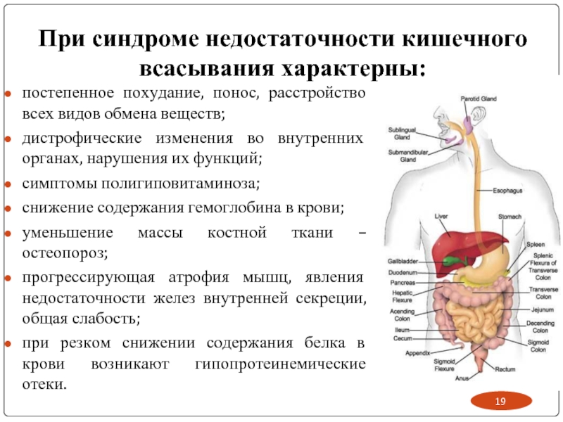 Пищеварительные расстройства