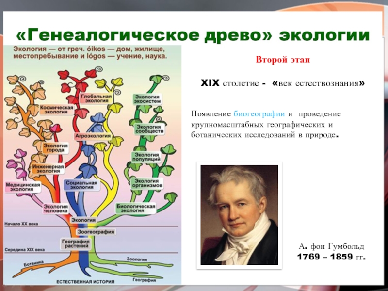 Биогеография профессии. История развития экологии по этапам.