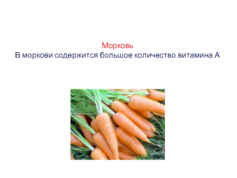 Морковь В моркови содержится большое количество витамина А