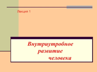 Внутриутробное развитие человека