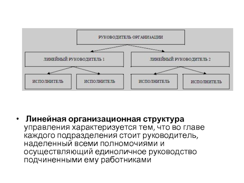  Линейная организационная структура управления характеризуется тем, что во главе каждого подразделения