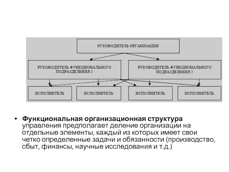 Функциональная организационная структура управления предполагает деление организации на отдельные элементы, каждый