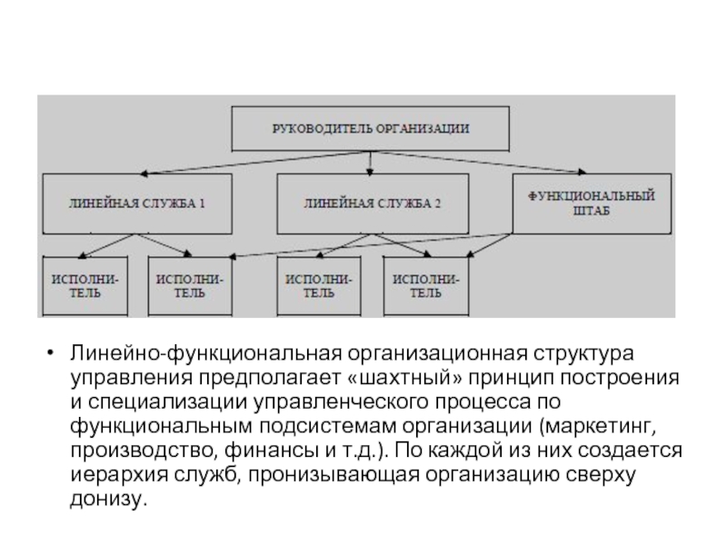 Линейно-функциональная организационная структура управления предполагает «шахтный» принцип построения и специализации управленческого