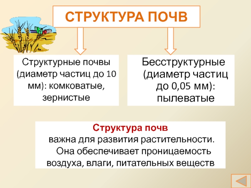 Что такое структура почвы кратко