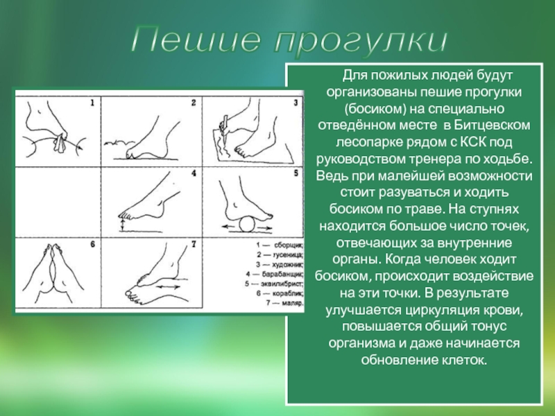 Специально отведенное. Прогулки пешие для презентации.